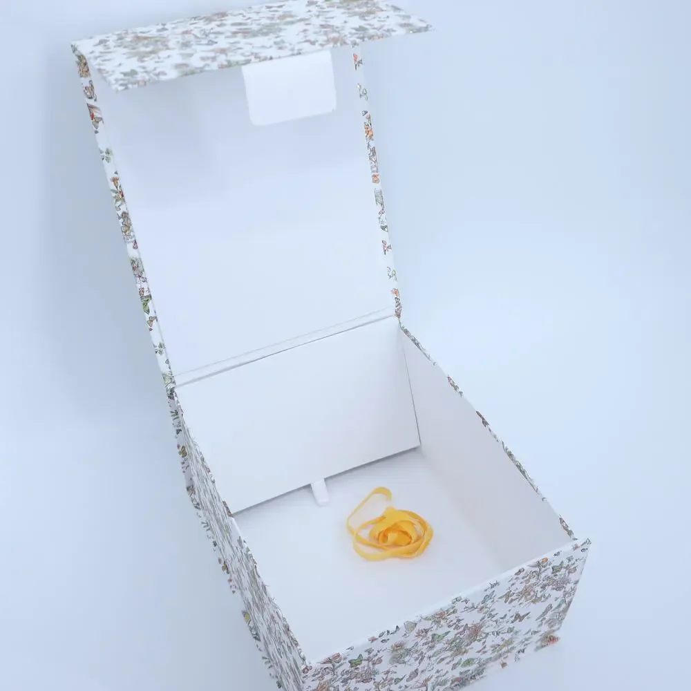 DIOR Gift Box Around the World Butterfly Multicolor Limited 8